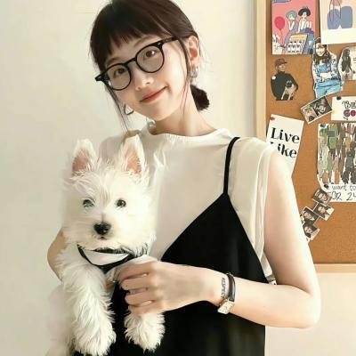 超完美暗杀队海报
